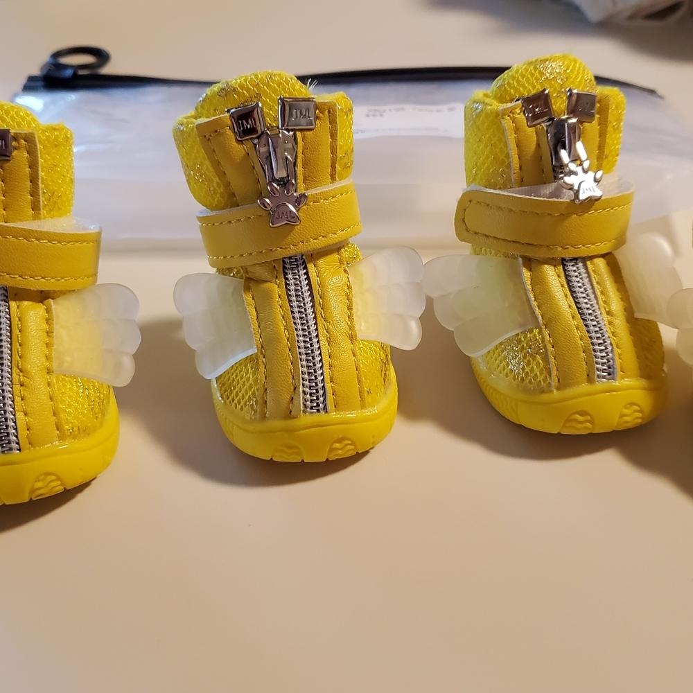 Dog shoes